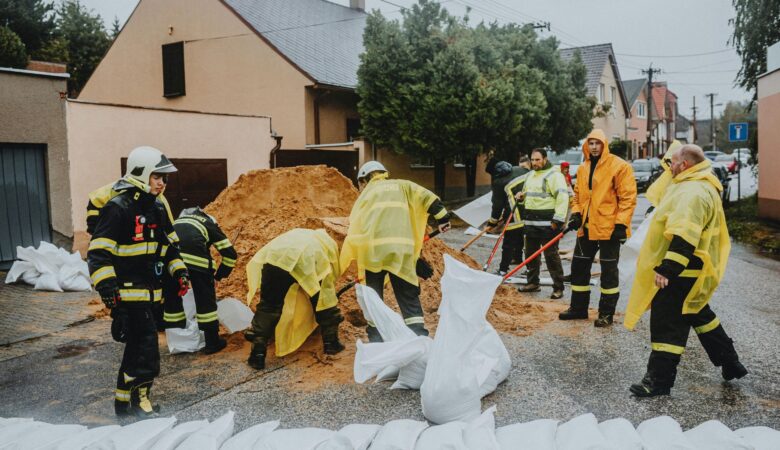 Serendepia Lab participa en VIATICUM 2, un proyecto europeo para mejorar las competencias de los voluntarios de rescate